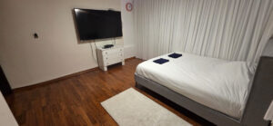 fe782f9d-aaa7-4263-b73b-a66832ce109c